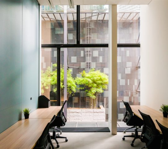 Harlay Mackey Harlay Mackey